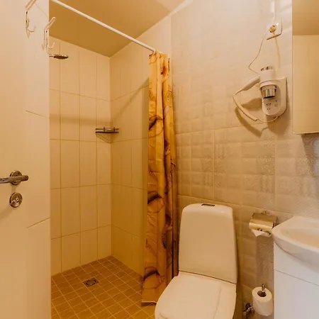 酒店 亚历山大酒店